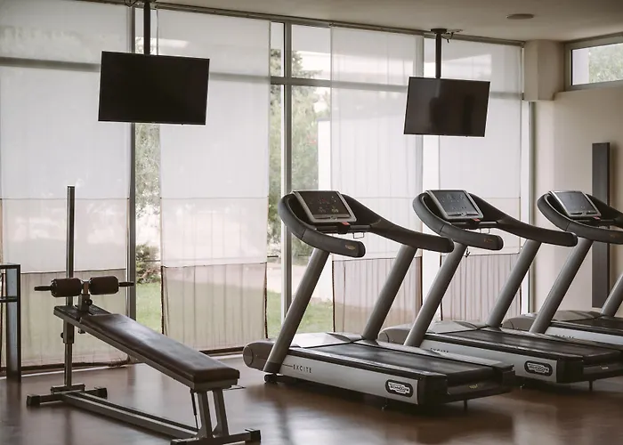 Falkensteiner Club Funimation Borik